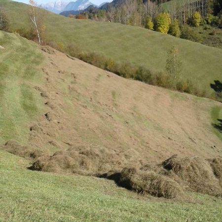 Pulvererhof Kramsach Dış mekan fotoğraf
