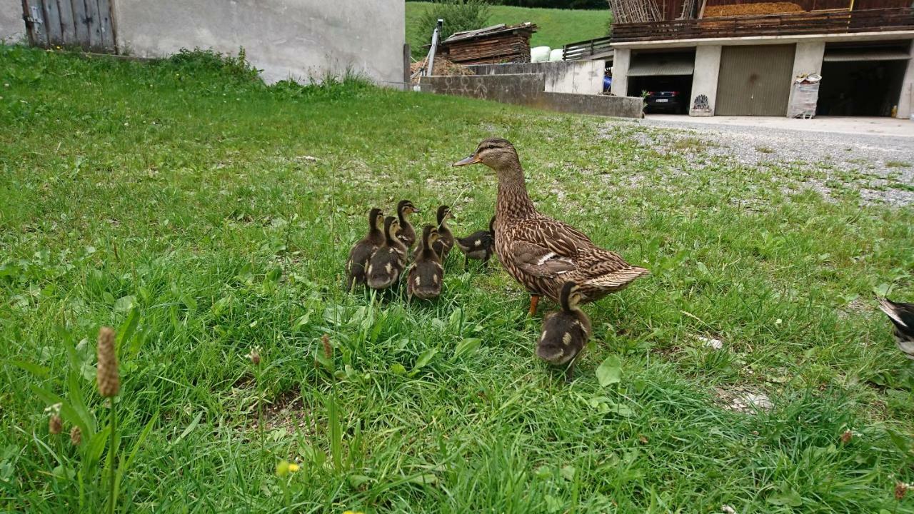 Pulvererhof Kramsach Dış mekan fotoğraf